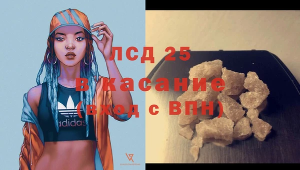 прущие грибы Медвежьегорск