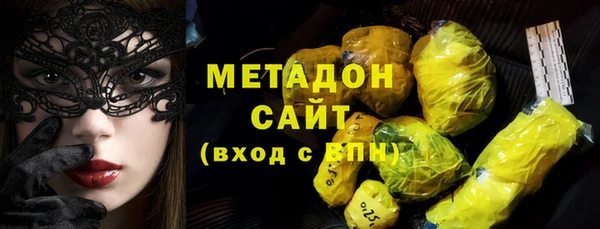 прущие грибы Медвежьегорск