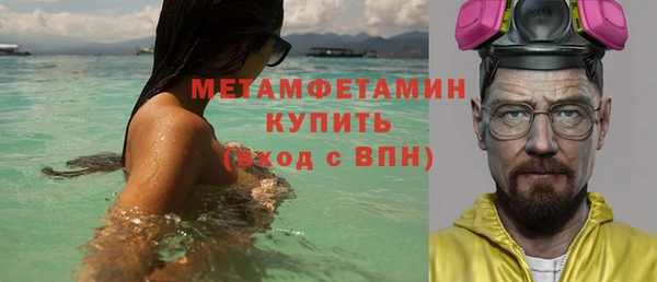 прущие грибы Медвежьегорск