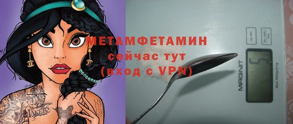 прущие грибы Медвежьегорск