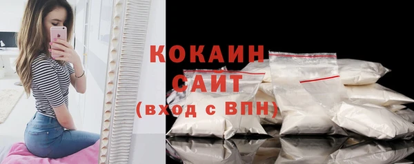прущие грибы Медвежьегорск