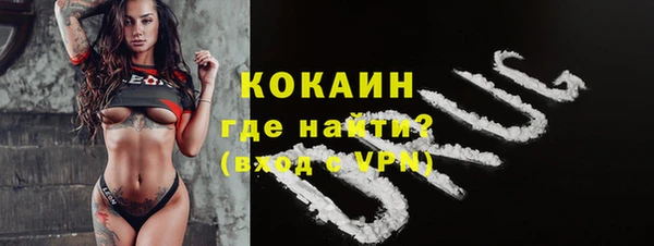 прущие грибы Медвежьегорск