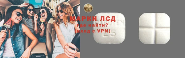 прущие грибы Медвежьегорск