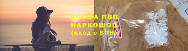прущие грибы Медвежьегорск