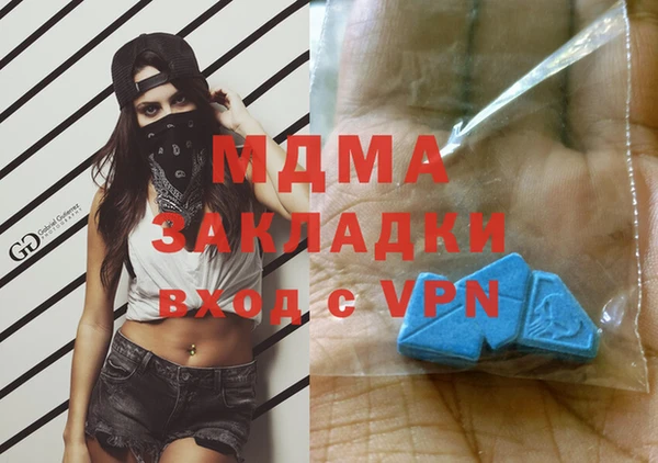прущие грибы Медвежьегорск