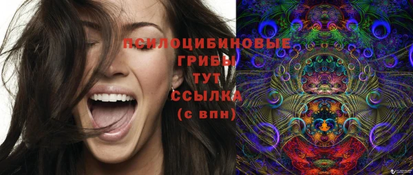 ешки Медногорск