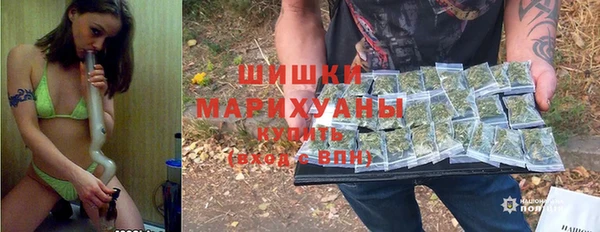 ешки Медногорск