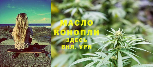 ешки Медногорск