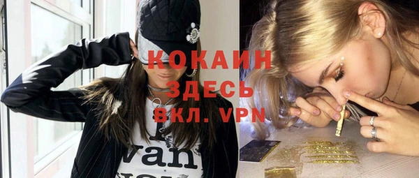 прущие грибы Медвежьегорск