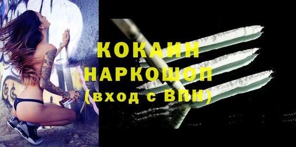 прущие грибы Медвежьегорск